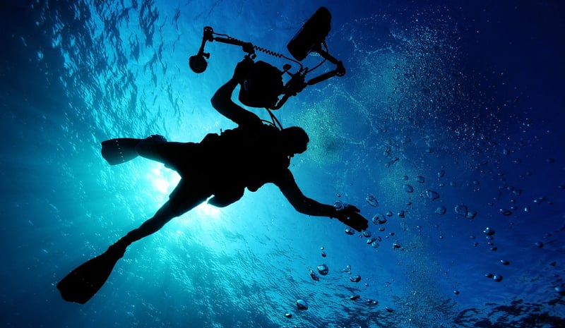Multiverse Diving